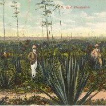 Omc 2016.002.146 (1)